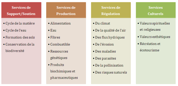 Tableau : Les différents types de services écosystémiques (d'après Étude & Documents n°20, Mai 2010, Commissariat Général au Développement Durable)