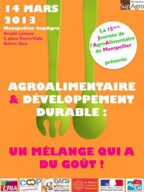 Affiche JAAM 2013