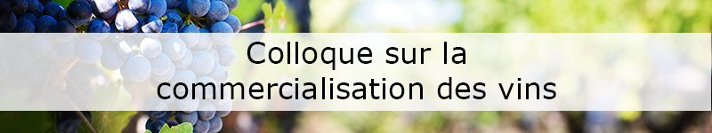 colloque sur la commercialisation des vins