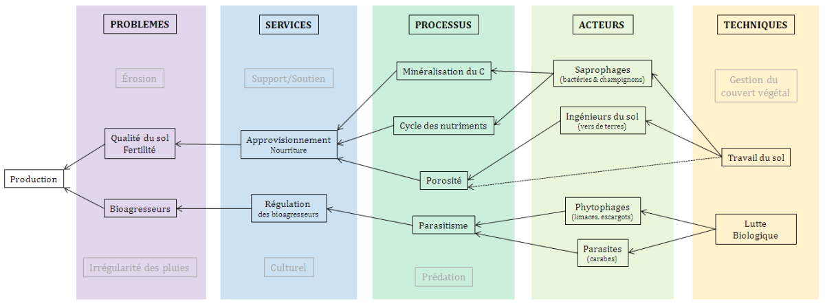 Etude de cas à Madagascar : Récapitulatif des liens entre Problèmes - Services - Processus - Acteurs - TK (Alaux E. Montpellier SupAgro)