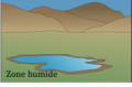 zonehumide