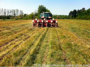 Travail tr&egrave;s superficiel du sol avec une machine