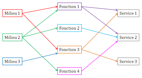 Relation non-bijective entre les milieux, les fonctions et les services (d'apr&egrave;s &Eacute;tude & Documents n&deg;20, Mai 2010, Commissariat G&eacute;n&eacute;ral au D&eacute;veloppement Durable)