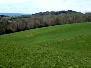 Champs vallonn&eacute;s couverts