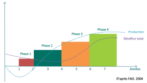 Phase 1: Am&eacute;lioration des techniques de travail du solPhase 2: Am&eacute;liorations de la structure du solPhase 3: Diversification des syst&egrave;mes de culturePhase 4: Stabilit&eacute; du syst&egrave;me de production