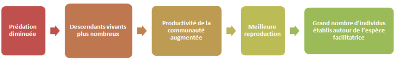 Sch&eacute;ma&nbsp;: Effet refuge/abri par rapport &agrave; la pr&eacute;dation