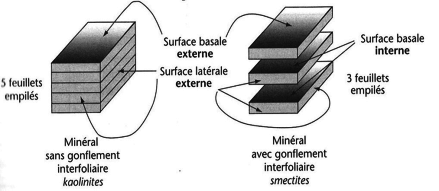 Sch&eacute;ma&nbsp;: M&eacute;canisme de gonflement - retrait des argiles (Calvet, R. 2003). On observe que certaines familles d'argiles, comme les smectites, peuvent se gonfler sous l'action de l'eau, qui s'intercale entre les feuillets, produisant ainsi le gonflement.