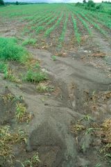 Photographie&nbsp;: Ruissellement