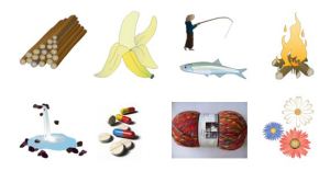 Illstration des diff&eacute;rents services