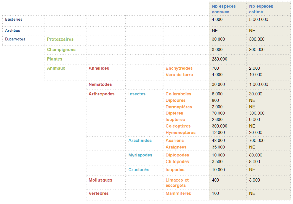 Nrb d'esp&egrave;ce connus des principaux organismes du sol