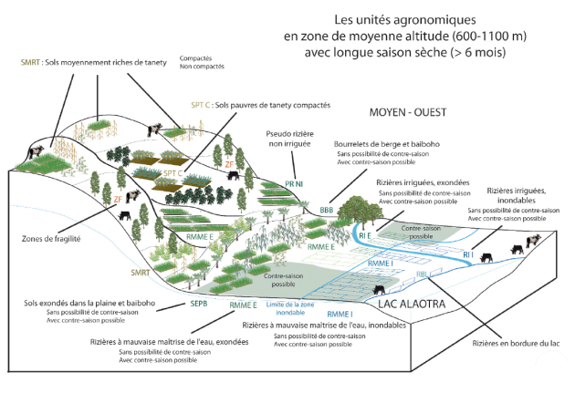 Sch&eacute;ma&nbsp;: Les diff&eacute;rentes unit&eacute;s agronomiques de la topos&eacute;quence du Lac Alaotra (Husson, O. GSDM)