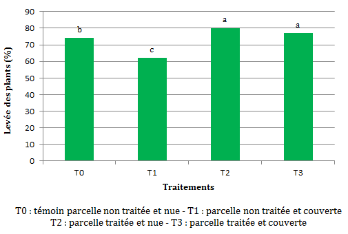 La lev&eacute;e des plants&nbsp;: T0=74&nbsp;; T1=62&nbsp;; T2=80&nbsp;; T3=77