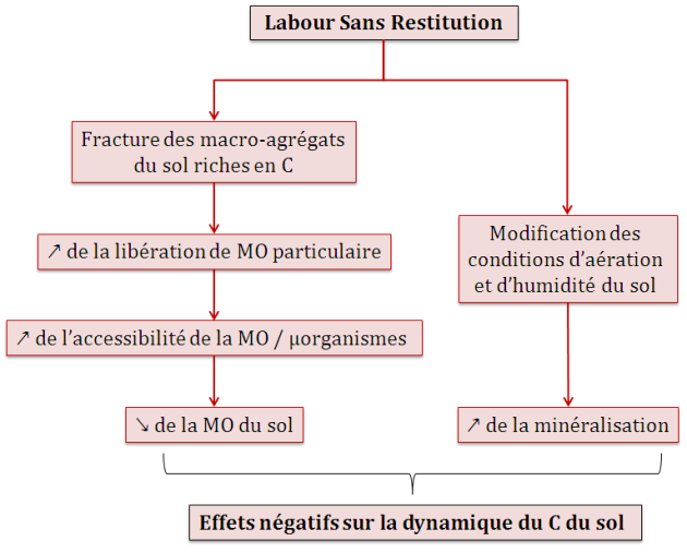 Sch&eacute;ma&nbsp;: Impacts du Labour Sans Restitution sur la dynamique du Carbone du sol (?)