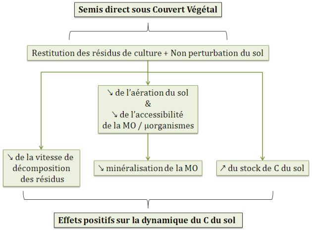 Sch&eacute;ma&nbsp;: Impacts du Semis direct sous Couverture V&eacute;g&eacute;tale sur la dynamique du Carbone du sol (?)