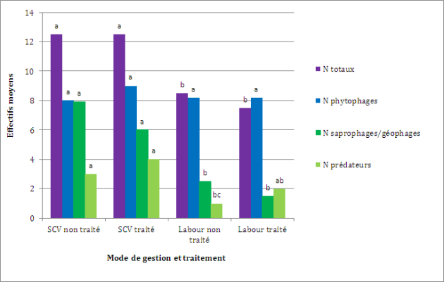 Graphique : Effectifs moyens de la macrofaune du sol pour 1m&sup2; (Ratnadass, A. et al. 2013). On observe un graphe donnant les effectifs de phytophages, de pr&eacute;dateurs, de g&eacute;ophages/saprophages et totaux en fonction du syst&egrave;me de culture (SCV/labour) et du traitement des semences (&agrave; l'insecticide).