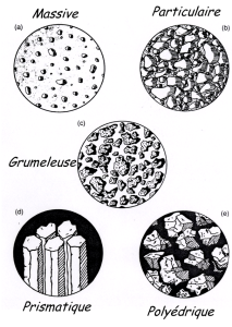 Sch&eacute;ma&nbsp;: Diff&eacute;rentes structures de sol. On observe 5 structures de sol&nbsp;: massive, particulaire, grumeleuse, prismatique (prismes bien align&eacute;s), et poly&eacute;drique (particules en forme d'&eacute;clats).