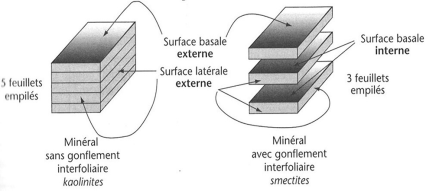 Schéma : Mécanisme de gonflement - retrait des argiles (Calvet, R. 2003). On observe que certaines familles d'argiles, comme les smectites, peuvent se gonfler sous l'action de l'eau, qui s'intercale entre les feuillets, produisant ainsi le gonflement.