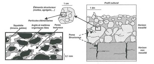 Schéma : Observation de la porosité à différentes échelles. On peut observer la porosité à l'échelle : 1) Du décimètre : les pores structuraux sont différents entre un horizon travaillé et un horizon non travaillé. 2) Du centimètre : les pores sont visibles à l'échelle de l'élément structural (motte, agrégat). 3) A l'échelle du millimètre : des pores texturaux sont présents entre les limons, sables, argiles et matière organique.