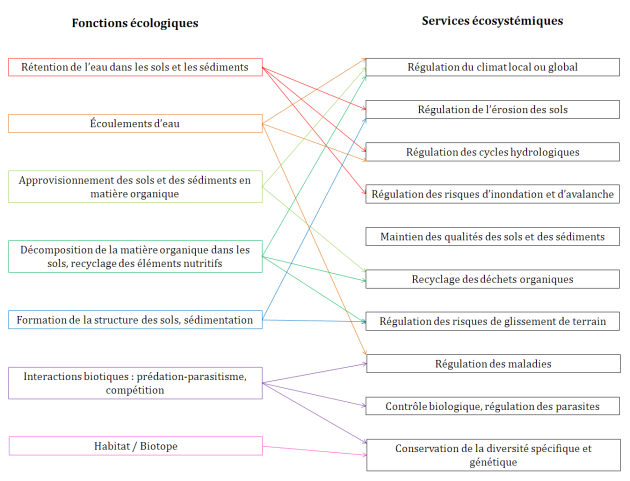 Schéma : Exemples de relations entre fonctions et services de support et de régulation (d'après Étude & Documents n°20, Mai 2010, Commissariat Général au Développement Durable)