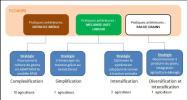 Les différentes stratégies d'adaptation ©Villemaine R