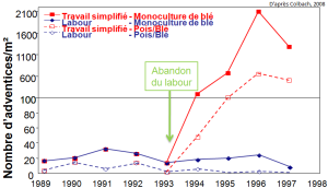 le nbr d'adventice au mètre carré en fonction du travail du sol. Il y a beaucoup plus d'adventice dès que le travail du sol est abandonné en monoculture de blé