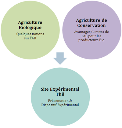 Illustration des liens entre les différentes parties de l'étude de cas