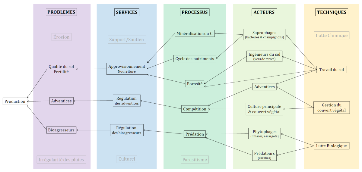 Schéma : Récapitulatif des liens entre Problèmes - Services - Processus - Acteurs - TK dans l'étude de cas en France AB (Alaux E. Montpellier SupAgro)
