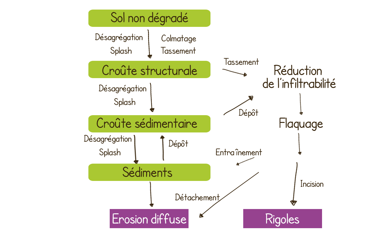 Processus d'érosion diffuse et de Rigoles