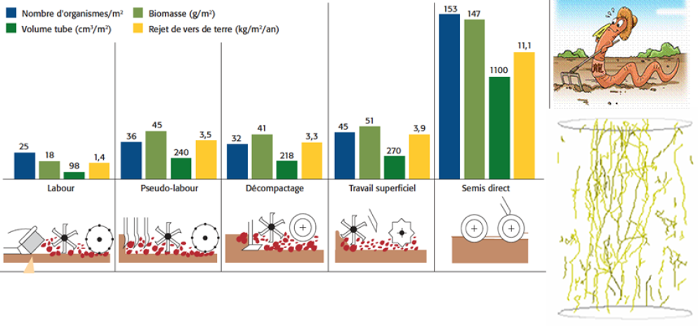 Caractéristiques des sols et production de biomasse