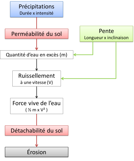 LODESSE - .DÉFINITION. HYDRATATION. Fixation d'eau sur une espèce