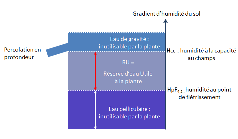 Par couche : 1. l'eau de gravite 2. la reserve d'eau utile 3. eau pelliculaire inutilisable par la plante