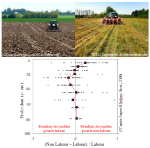 Comparaison des sols en profondeur entre labour et non labour.