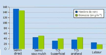 Nombre de vers de terre en fonction du travail du sol : beaucoup plus élevé (3 fois plus) en semi direct