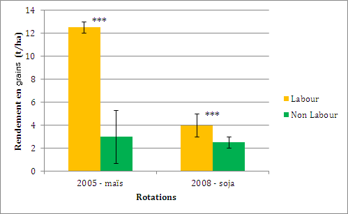 Graphique : Rendements en grains pour les 2 rotations et les 2 gestion culturales (d'apr&egrave;s Peign&eacute;, J. et al. NP)