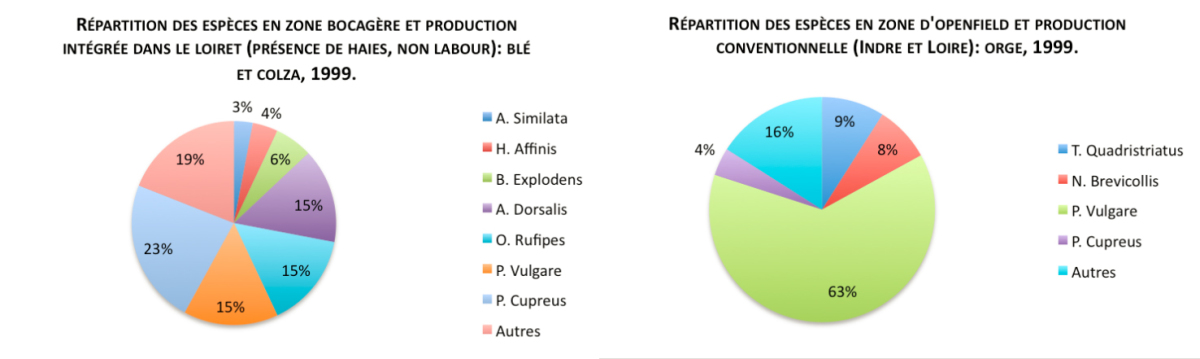 répartition des espèces de carabes selon les types de culture (blé, plein champs..)