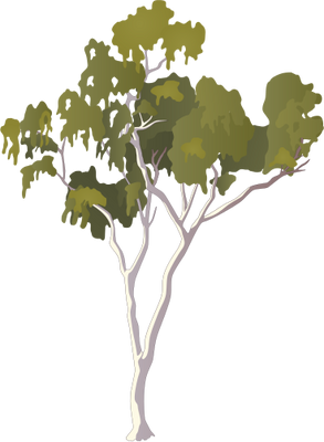 Index Of Ressources Tice Ress Tice 1 Partage Visuel Ian Symbols Flora Trees Shrubs Vines
