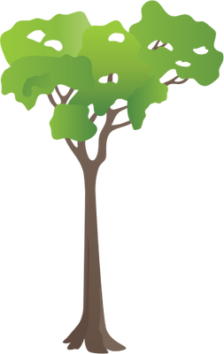 Black White Png Cypress Tree Free Black White Cypress Tree Png Transparent Images 22530 Pngio