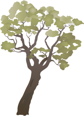 Index Of Ressources Tice Ress Tice 1 Partage Visuel Ian Symbols Flora Trees Shrubs Vines