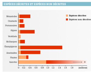 Histogramme qui illustre les proportions d'espèces décrites et non décrites