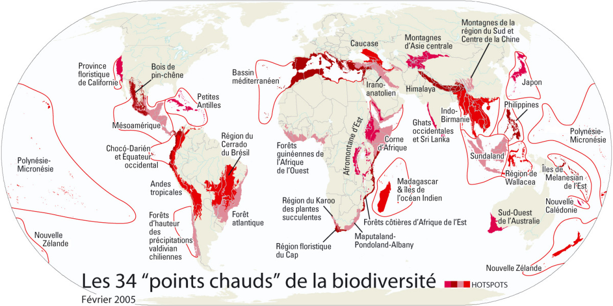 Mappemonde illustrant les 34 points chauds de la biodiversité mondiale