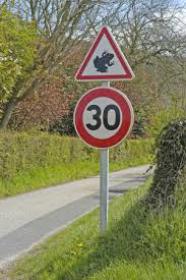 Visuel d'un panneau routier indiquant de faire attention aux crapauds qui peuvent traverser la route