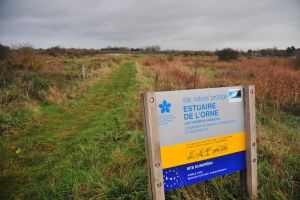 Visuel du panneau de l'Estuaire de l'Orne (Site naturel protégé) avec les pictogrammes pour la protection de l'habitat (exemple, ne pas faire du camping, ne pas fumer,...)
