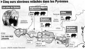 Visuel des sites de lâchers d'ours dans les Pyrénées (Hautes-Pyrénées et Ariège)