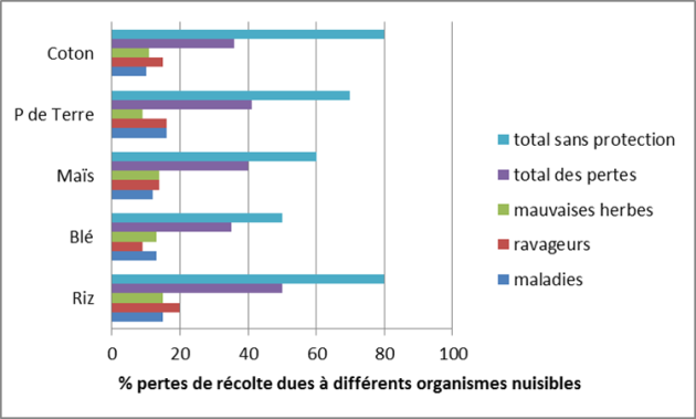 Tableau montrant les % de pertes de récolte dus à différents bioagresseurs pour quelques cultures majeures, construit d'après les données de Oerke et Dehne, 1997.