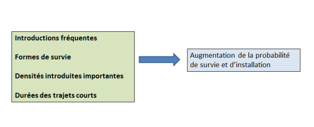 deux cadres reli&eacute;s par un fl&egrave;che de droite &agrave; gauche, dans le cadre de gauche on lit&nbsp;: introduction fr&eacute;quentes, forme de survie, densit&eacute; introduite importante, dur&eacute;e des trajets courts, a droite un cadre avec &agrave; l'int&eacute;rieur, augmentation de la probabilit&eacute; de survie et d'installation