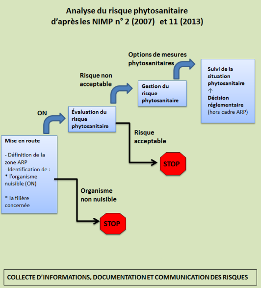 Le schéma résume les différentes étapes à réaliser lors d'une analyse de risque selon les normes internationales NIMP 2 et 11. La première étape correspond à la mise en route du processus et permet de définir la zone géographique et la filière impliquées et de vérifier si le ou les organisme(s) ciblé(s) peuvent être catégorisés comme organisme nuisible. Si ce n'est pas le cas, la procédure s'arrête à ce niveau (flèche vers un stop). S'il s'agit d'un organisme considéré comme nuisible, l'analyse de risque commence à proprement dite (flèche vers nouvel encadré). Si le risque est jugé acceptable, la procédure s'arrête (flèche vers signe STOP). Si le risque est avéré, l'étape suivante vise à lister/ évaluer les mesures pertinentes de gestion du risque (nouvelle flèche vers l'étape suivante). Des options de mesure de réduction du risque sont alors proposées et une décision réglementaire peut alors mettre en place les mesures proposées (hors cadre de l'ARP).