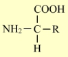 Schéma formule chimique d'un acide aminé