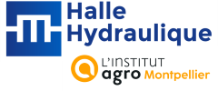 Logo_halle_IAM